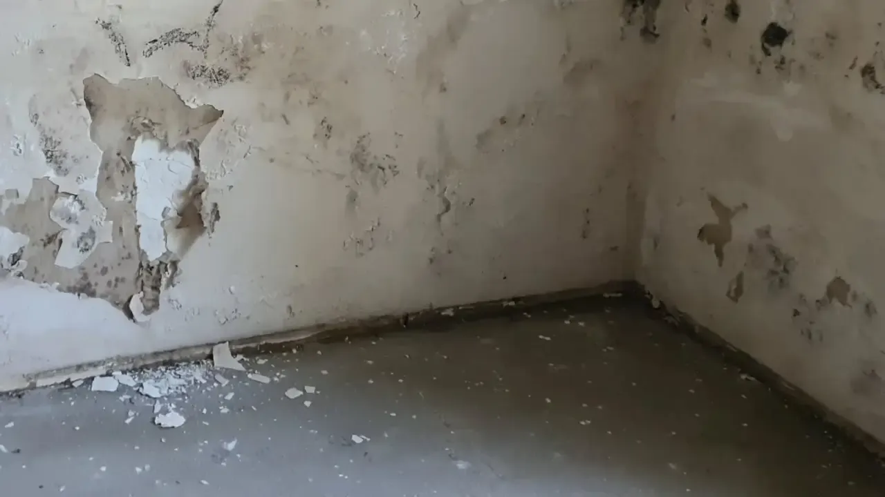 Bodrum Kat Nem Sorunu Nasıl Çözülür?