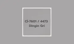 Gizemli Gri Rengi ile Boyanmış Evler