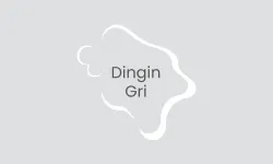 Polisan Dingin Gri Rengi ile Boyanmış Duvarlar