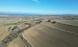 Hazine Arazisi İşgalinin Cezası Tazminat mı?