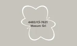 Masum Gri Rengi Duvar Boyası ile Boyanmış Evler