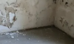 Bodrum Kat Nem Sorunu Nasıl Çözülür?