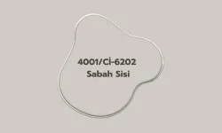 Polisan Sabah Sisi Rengi ile Boyanmış Evler