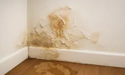 Su Çeken Rutubetli Duvara Ne Yapılır? 5 Kesin Çözüm Yolu