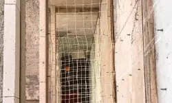 Şaft Boşluğu Nedir ve Neden Hayati Önem Taşır?