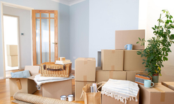 Ev Taşımak İçin Ücretsiz Koli Bulabileceğiniz Yerler