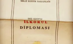 İlkokul ve Ortaokul Diploma Sorgulaması Nasıl Yapılır?