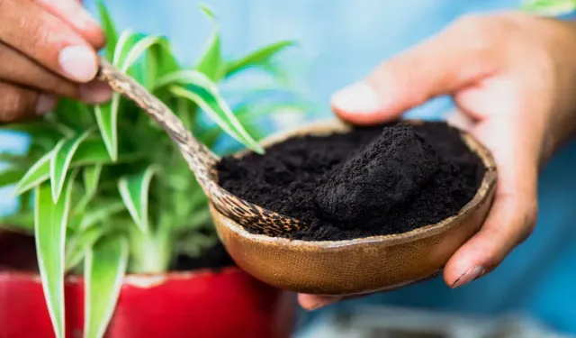 Atık kahve telvesi betonu %30 daha güçlü hale getiriyor