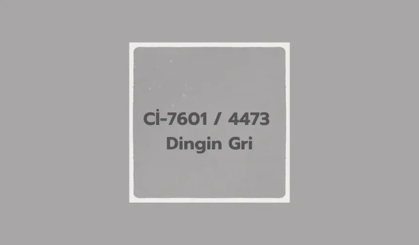 Gizemli Gri Rengi ile Boyanmış Evler