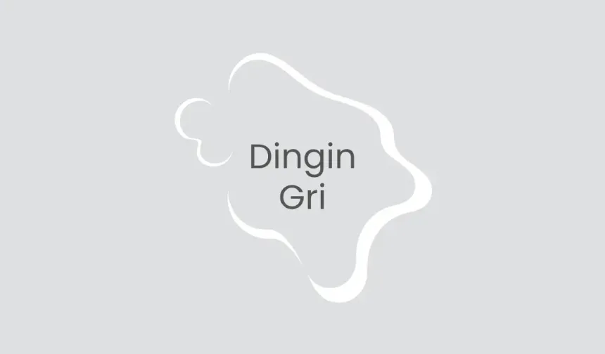 Polisan Dingin Gri Rengi ile Boyanmış Duvarlar