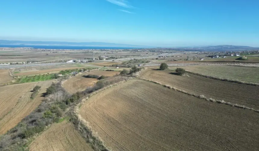 Hazine Arazisi İşgalinin Cezası Tazminat mı?