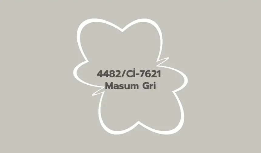 Masum Gri Rengi Duvar Boyası ile Boyanmış Evler