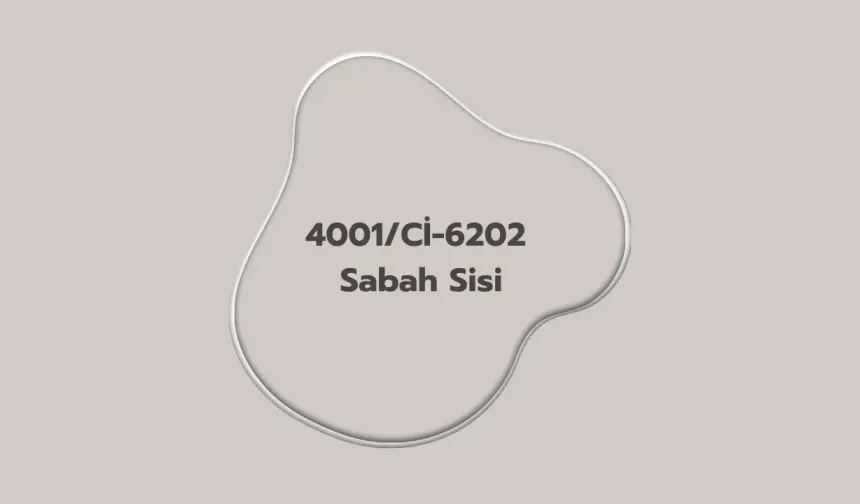 Polisan Sabah Sisi Rengi ile Boyanmış Evler