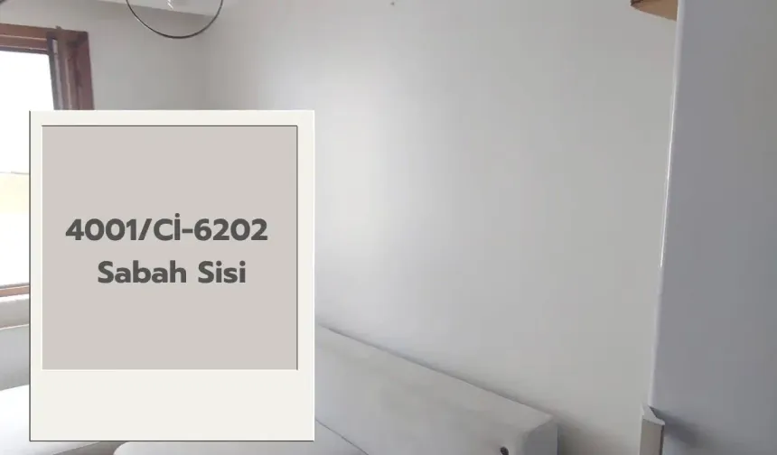 Polisan Sabah Sisi ile Ev Dekorasyonu