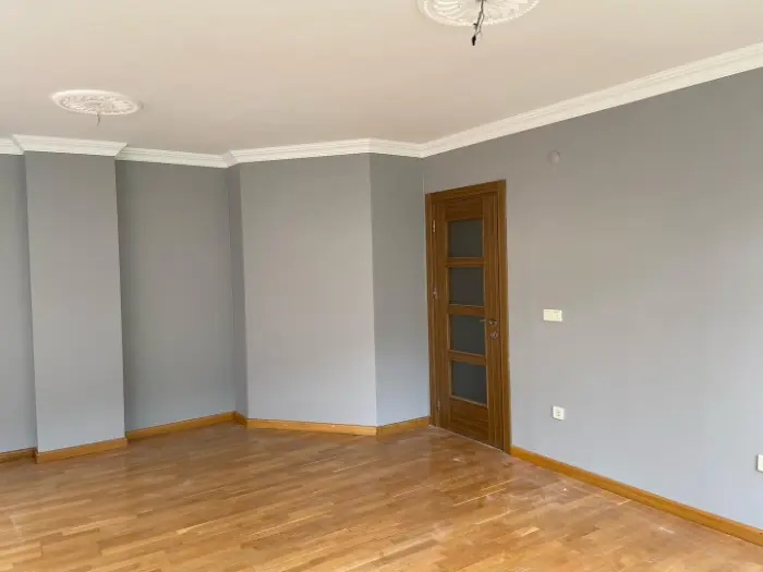 Dingin Gri Duvar Boyaso