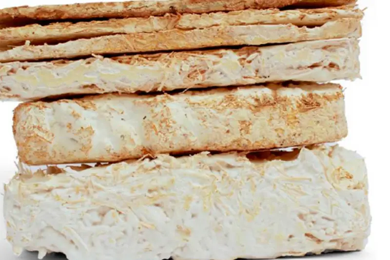 Miselyum Esasli Kompozit