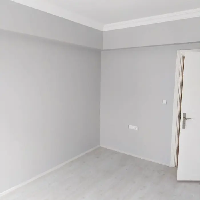 Polisan Marjinal Gri Ile Boyanmis Ev