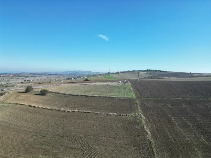 Tarimsal Hazine Arazisi