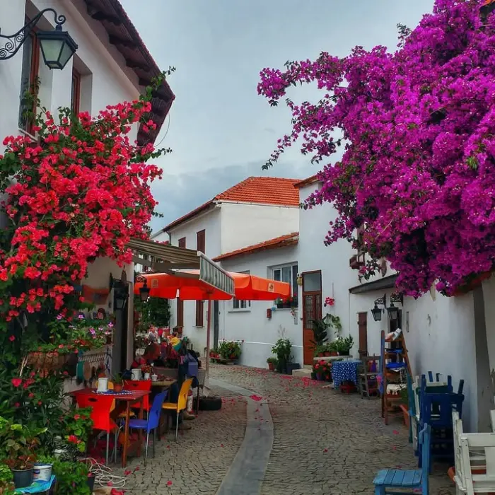 Seferihisar Sığacık